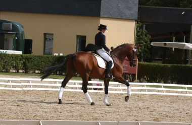 Quack Label Plus Dressage