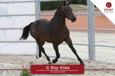 <b>It's Boy Alias par Usandro</b>            Coll privé Le Guen