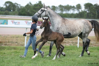 Purple Rain du Fleuve SF