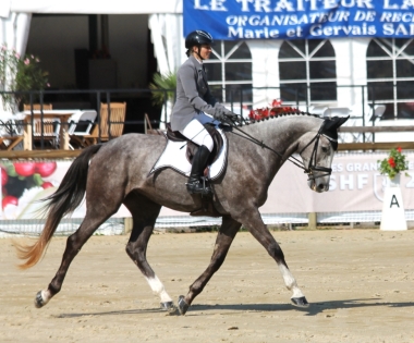 Eventing de Fay  -Classé Tres Bon CC CCE 4ans