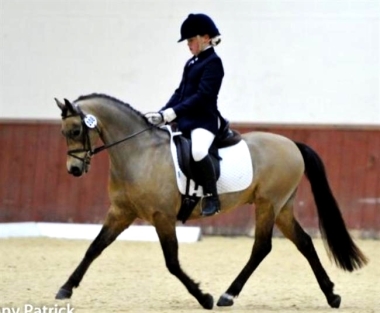 Chaconne par Eyarth Troy, grand gagnant dressage