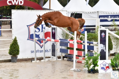 Finale du championnat de France femelles 2 ans